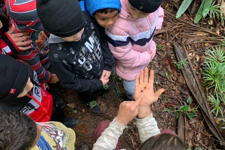 Foto de adulta agachada na floresta, com sementes nas mãos, dando explicações para crianças à sua volta