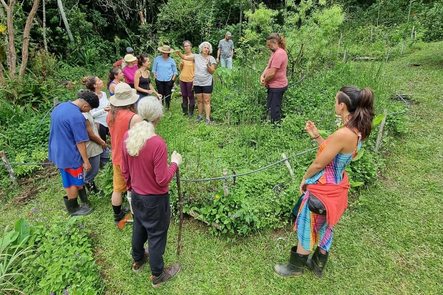 Foto de pessoas ouvindo explicações em volta de uma pequena plantação