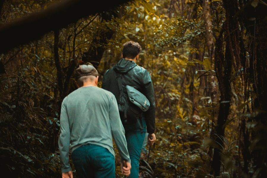 Foto de homens caminhando de costas na floresta