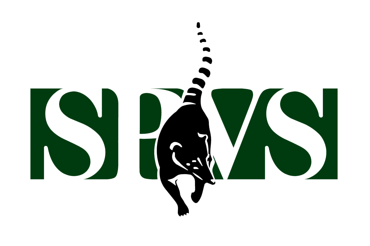 Logo_SPVS_2020_1_.png