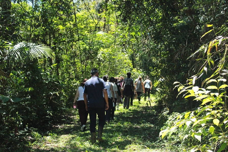 Foto de pessoas andando em fila, na floresta