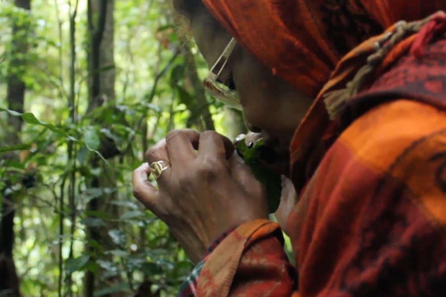 Foto em close de mulher cheirando uma flor de uma planta na floresta