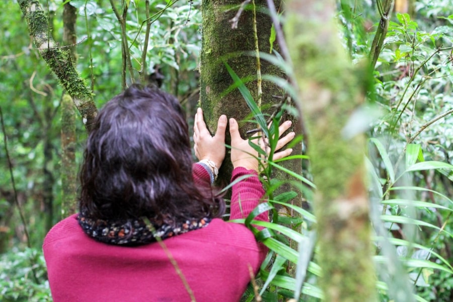Foto de mulher de costas, tocando o tronco de uma árvore, na floresta