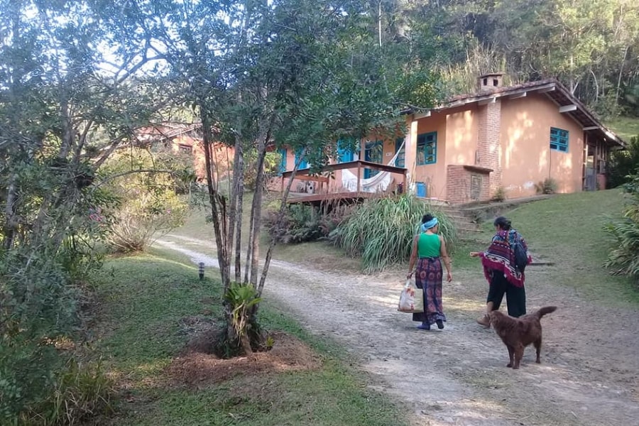 Foto de pessoas caminhando numa trilha aberta, arborizada, junto com um cachorros, em direção a uma casa
