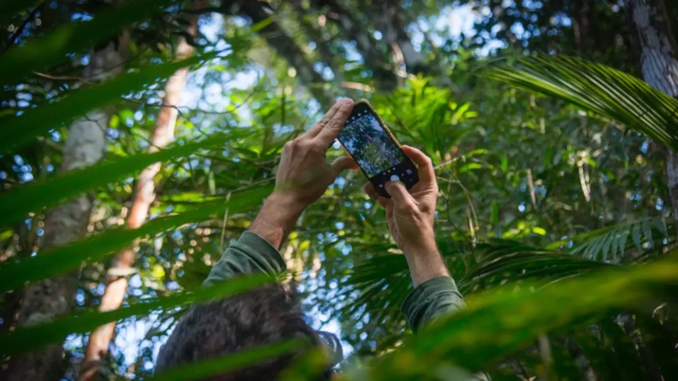 Foto de mãos tirando foto com o celular no meio da floresta