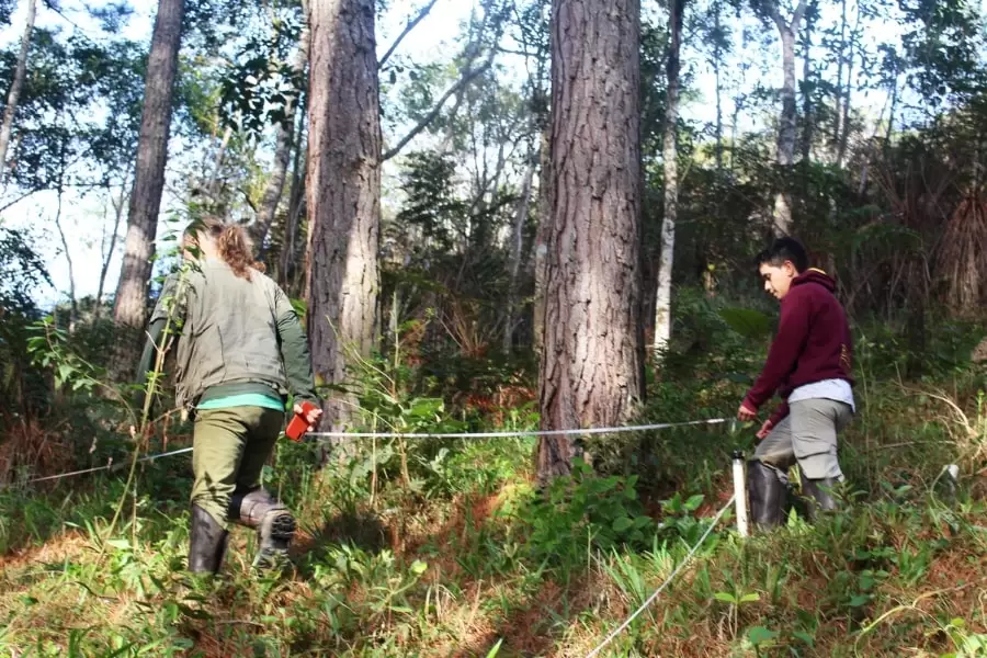 Foto de pessoas demarcando área na floresta