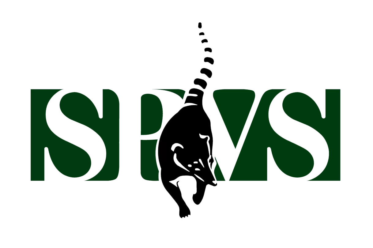 Logo_SPVS_2020_1_