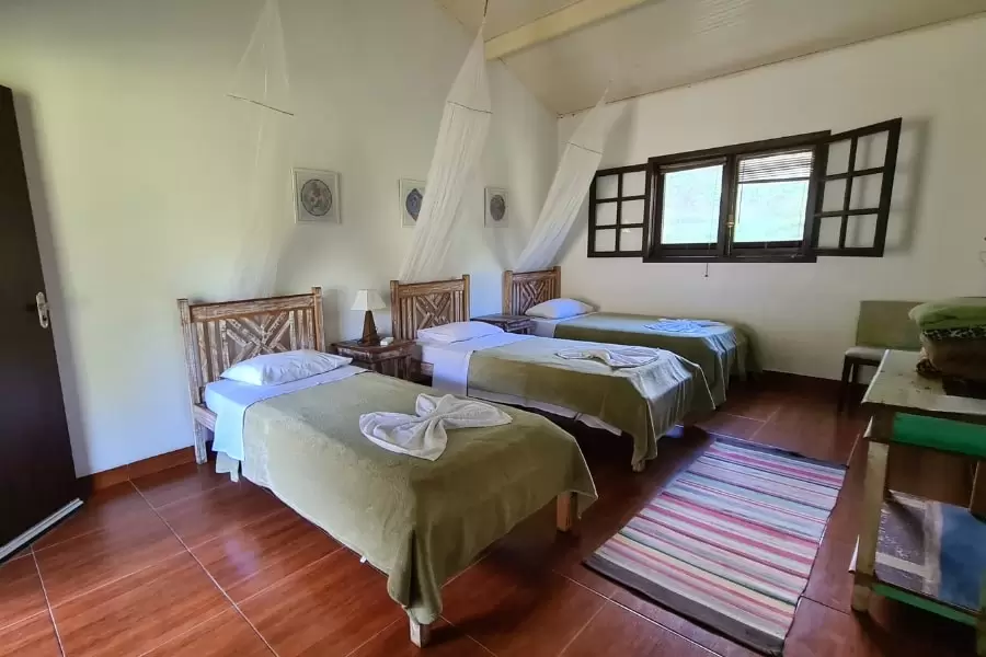Foto de um grande quarto aconchegante, com três camas de solteiro e uma janela alta