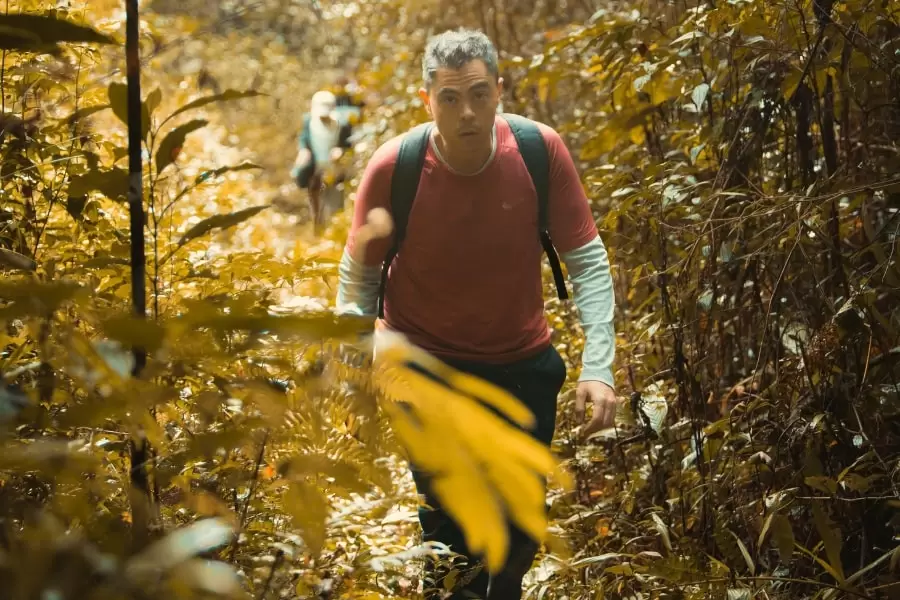 Foto de homens caminhando pelo mato