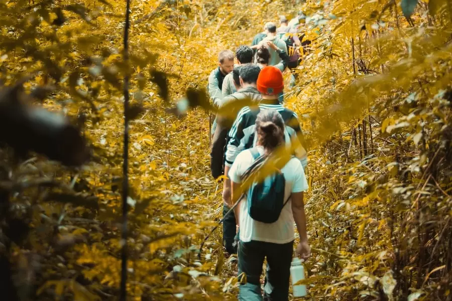 Foto de homens andando em fila, em trilha pela floresta