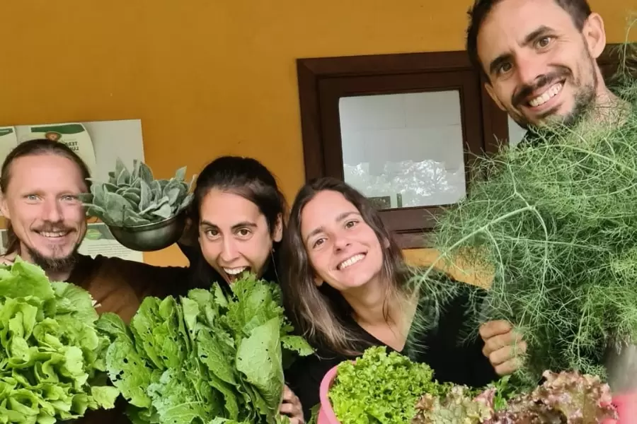 foto de quatro pessoas alegres e divertidas, segurando muitas verduras.