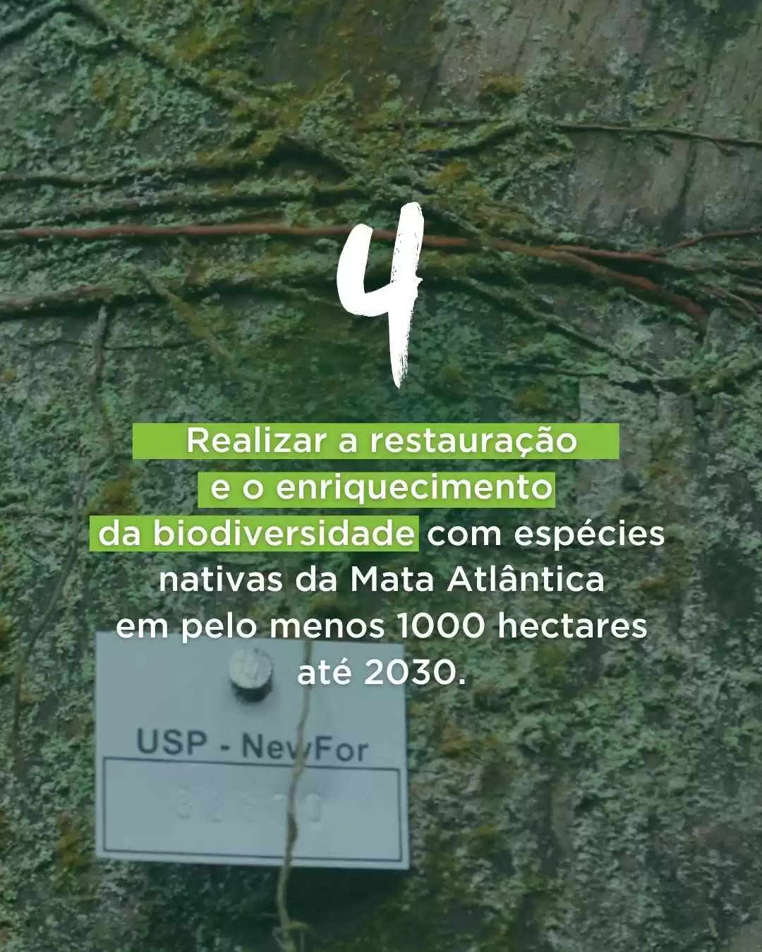 itl Manifesto Emergência Climática